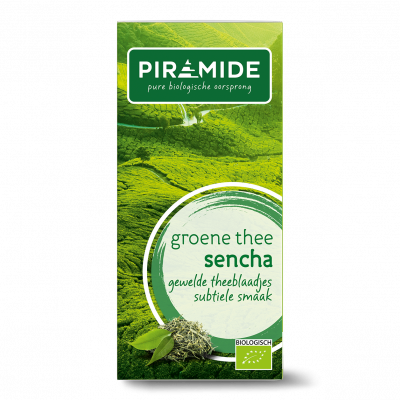 Piramide Groene Thee Sencha